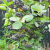 priority-product-x-large